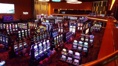 the casino at dania beach review|Best local buffet .